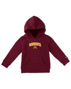 Champion Toddler Arch M Hooded Sweathsirt