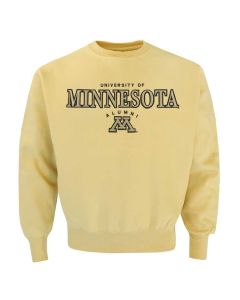 Men's Champion Maroon Minnesota Golden Gophers Big & Tall Arch Team Logo T- Shirt